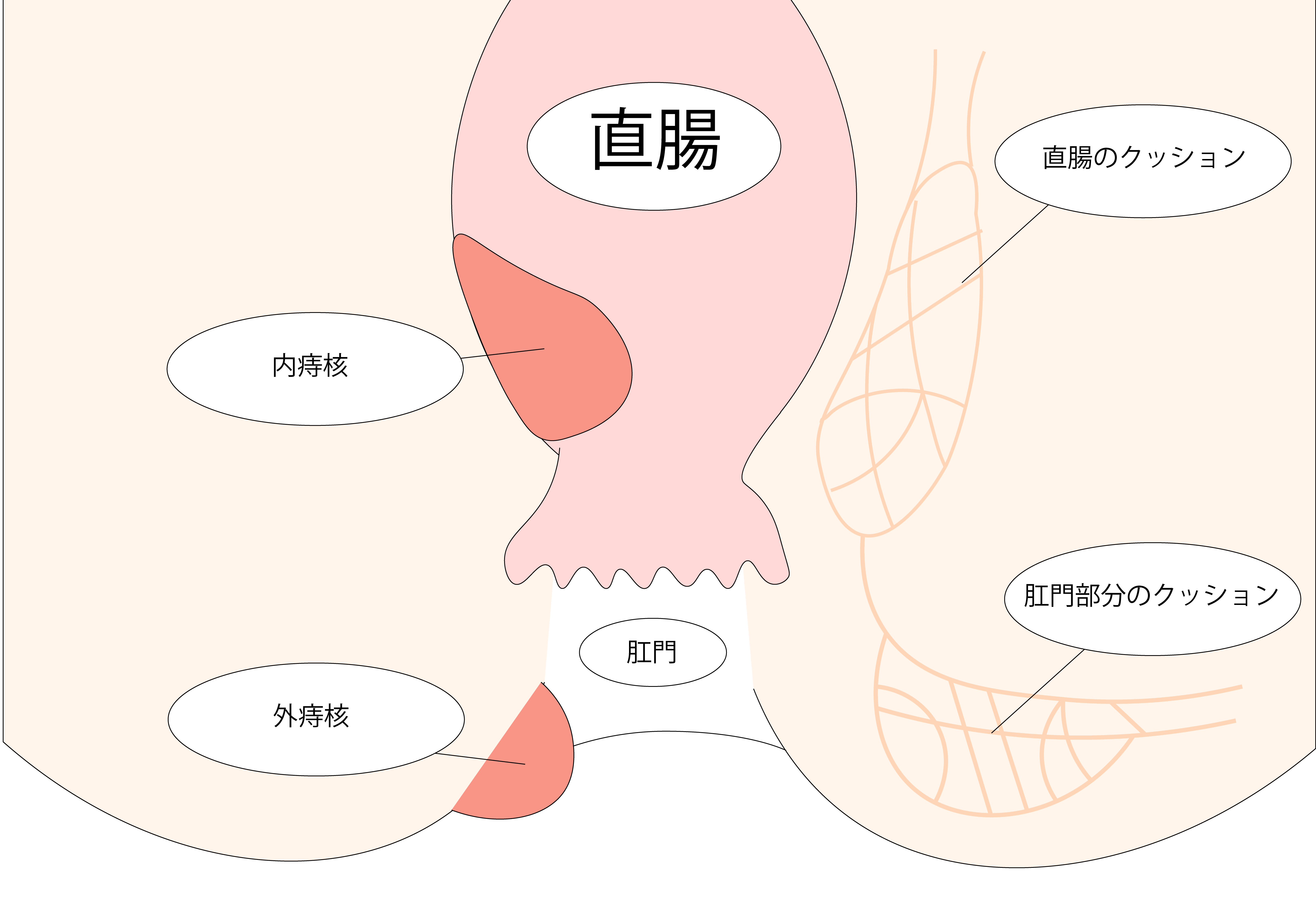 肛門診察  さくら内視鏡クリニック